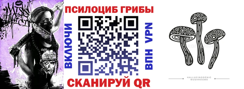 мега зеркало  Спасск  Галлюциногенные грибы Psilocybine cubensis  наркотики 