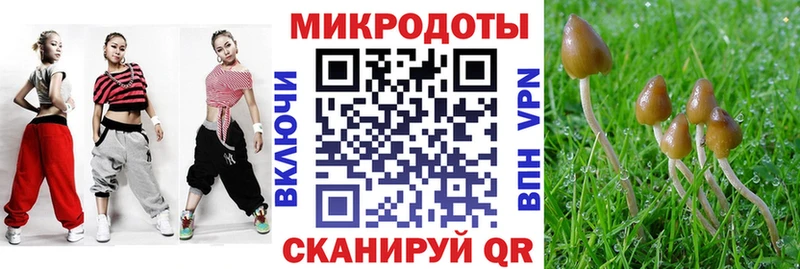 Псилоцибиновые грибы GOLDEN TEACHER Спасск